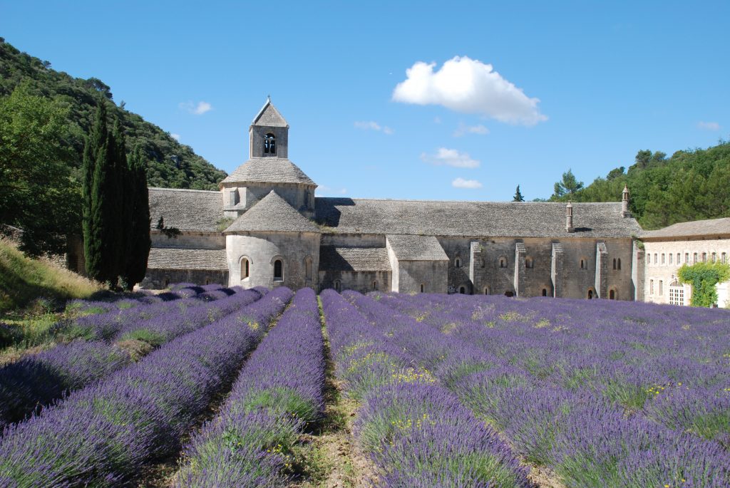 Berwisata Di Wilayah Provence 